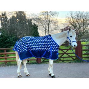 Sheldon no fill turnout rug